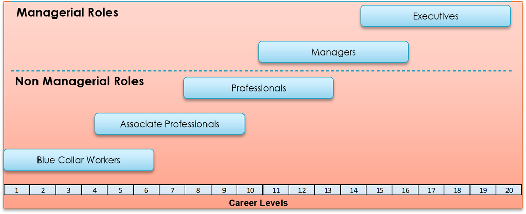 Job Classification
